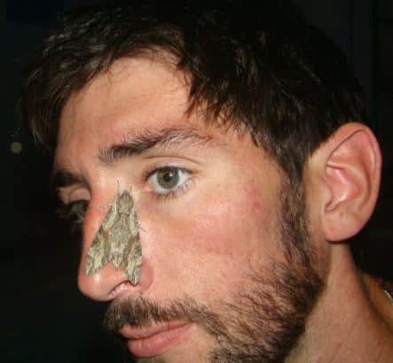 Eimhin Moth Pic