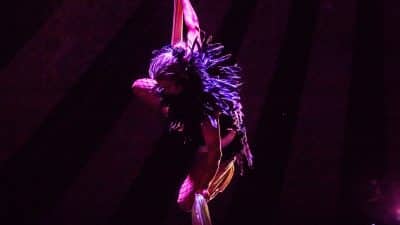 halloween aerial