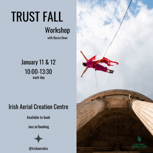 Trust Fall Workshop Iacc (instagram Post)