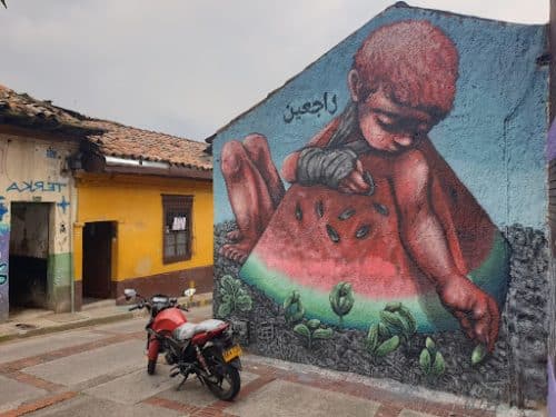 Rogu Colombia 16