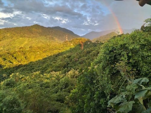 Rogu Colombia 8
