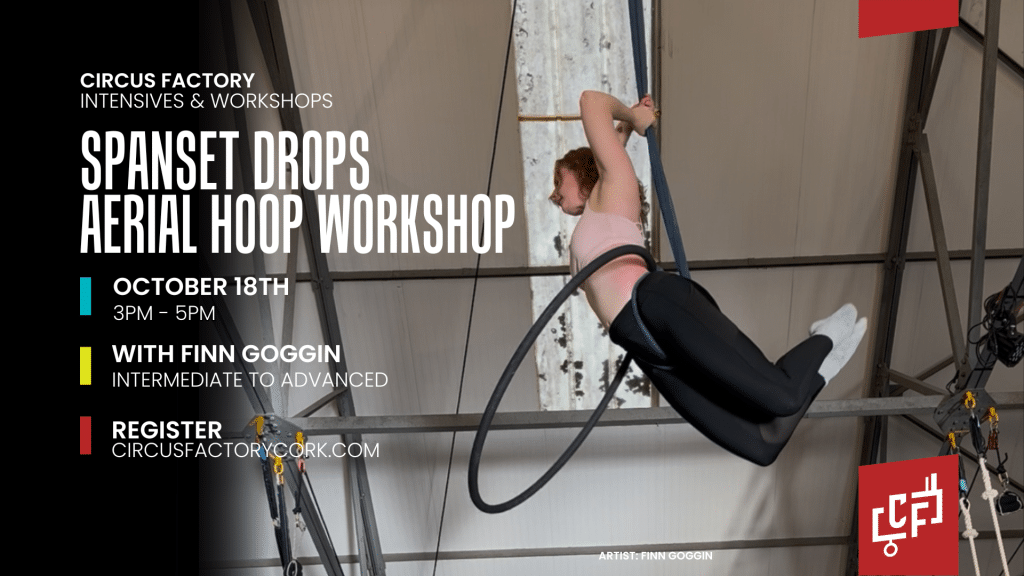 Person doing Aerial Hoop. Circus Factory