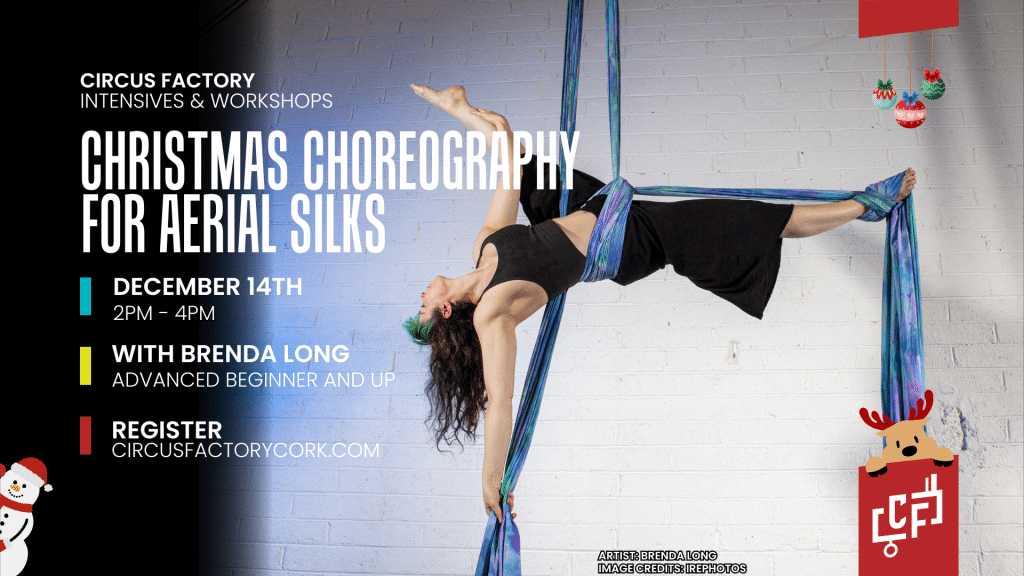Aerial Silks Christmas Choreo at Circus Factory Cork