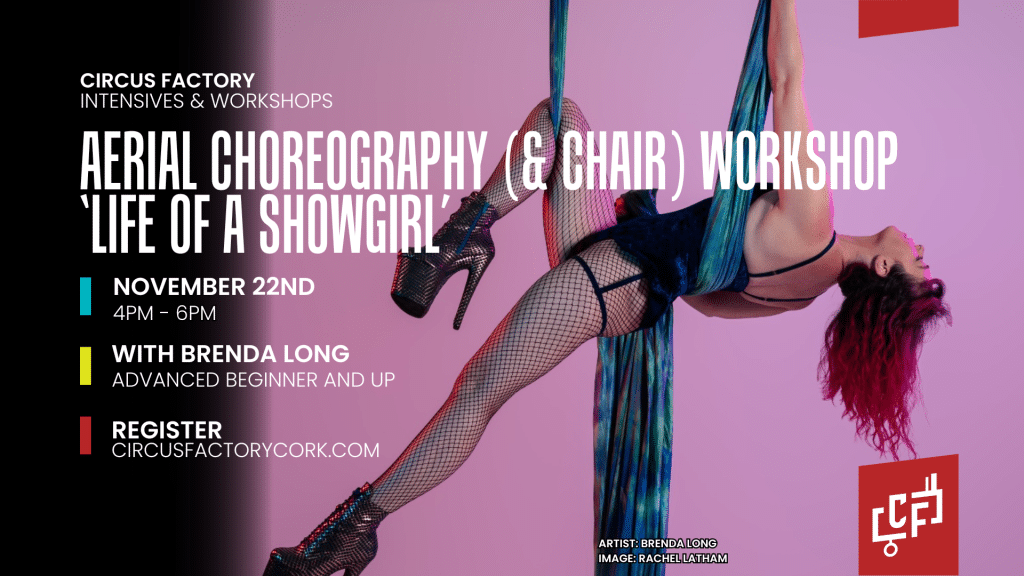 Aerial Choreography Workshop at Circus Factory Cork