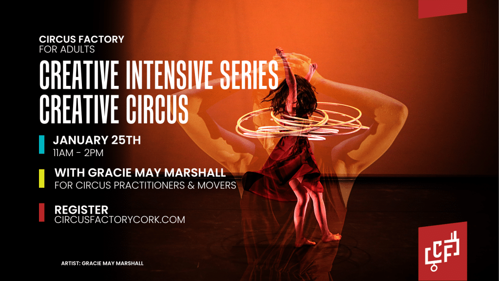 Creative Circus at Circus Factory Cork
