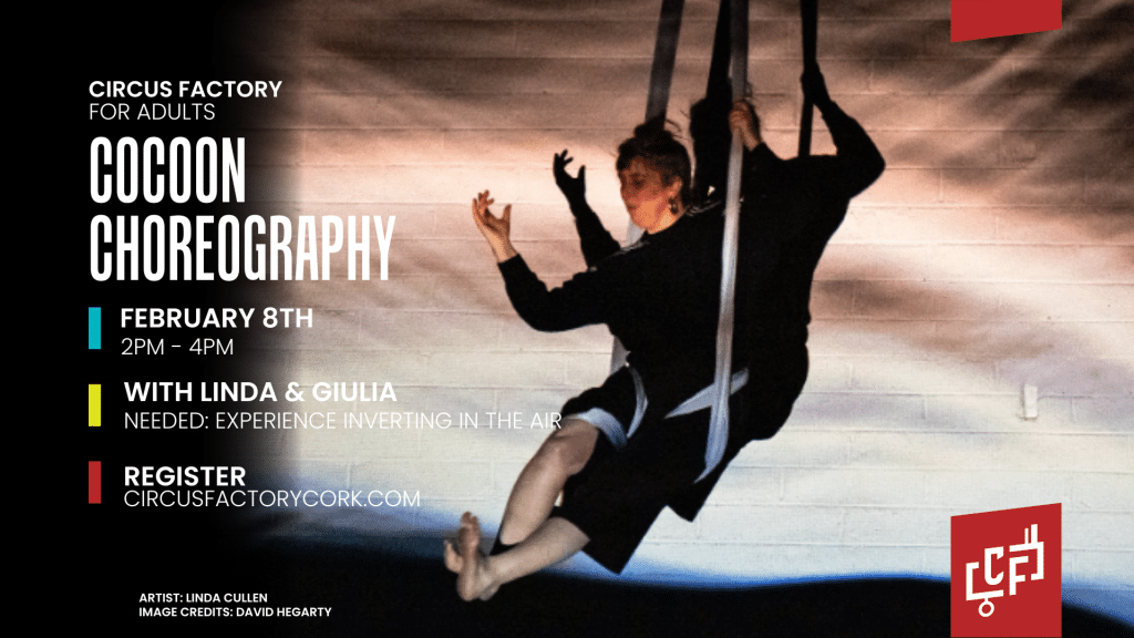 Cocoon Choreo Aerial Silks at Circus Factory Cork