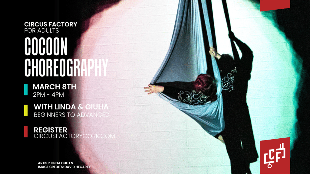 Cocoon Choreography Aerial Skills Beginner Workshop at Circus Factory Cork