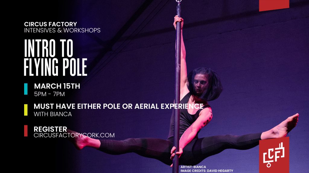 Flying Pole Taster Workshop at Circus Factory Cork
