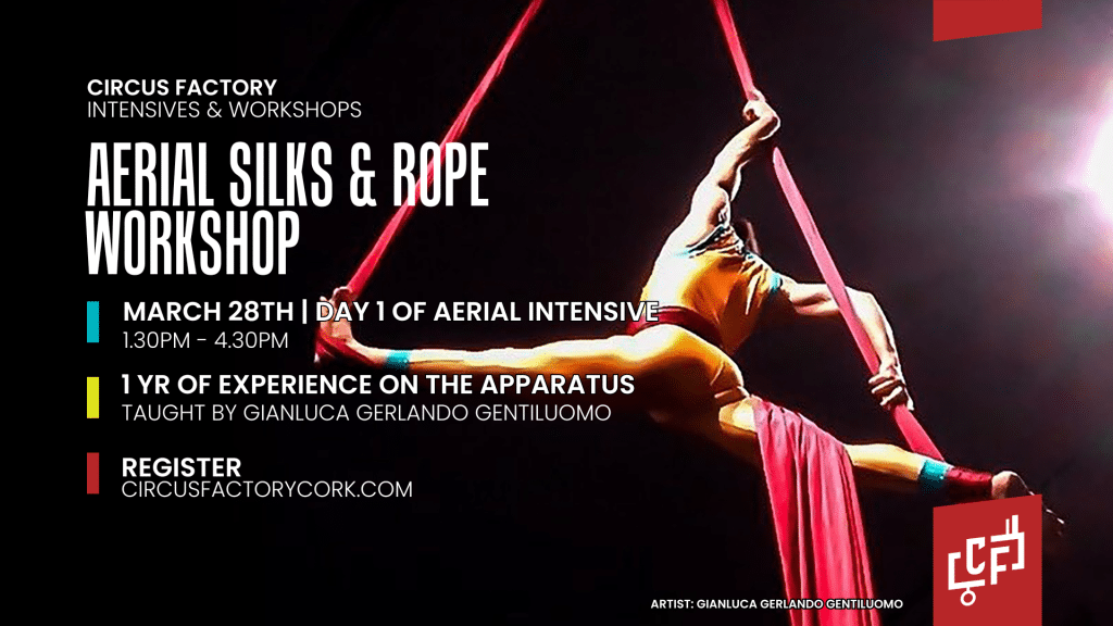 Aerial rope and silks workshop circus factory cork