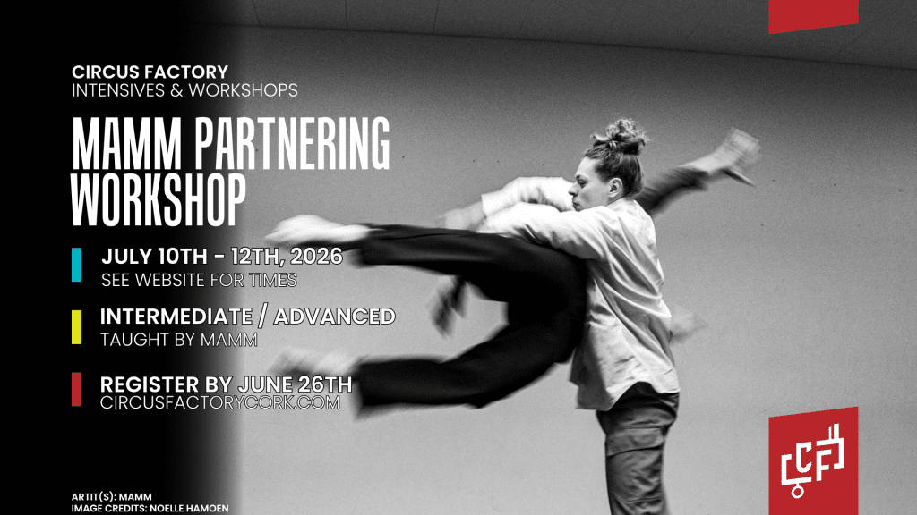 Mamm Partnering Workshop at Circus Factory Cork